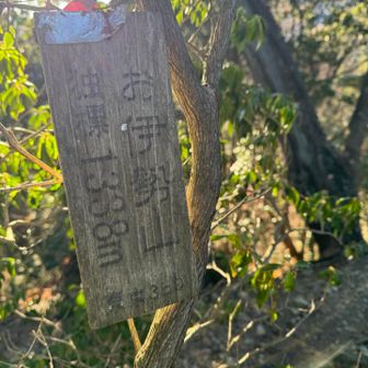 お伊勢山。
こちらも八丁山も読めなくなった古標識有り。