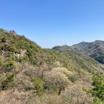 槍のてっぺんから、薬師前山と迫間山・明王山・金毘羅山の稜線👀