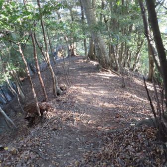 白鳥神社の反対側にある稜線を降って駐車場へ下山しました。