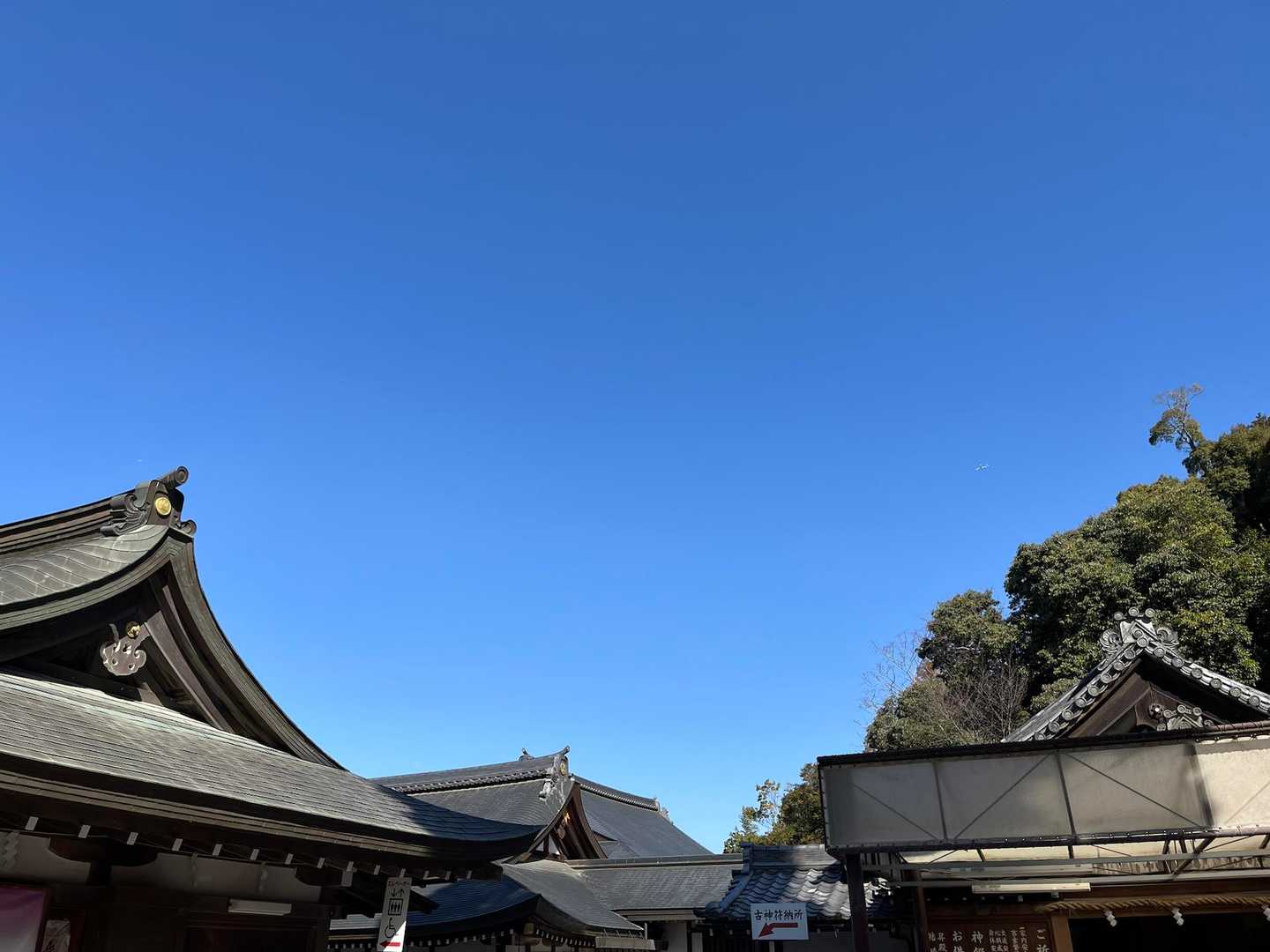 めっちゃ青空