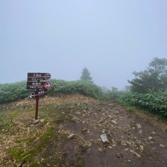 汗と雨でべたべた。雷なってて怖い。とほほ。