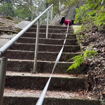 くぅーちゃん上がるの早すぎる