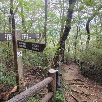 北側へ下山しここから右下へUターン。もうイノシシは追ってこなかった。