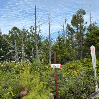 この時間はまだ晴れてますが、下山し始めたら曇ってしまいました