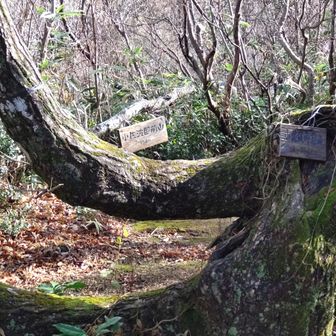 小佐波御前山山頂の看板