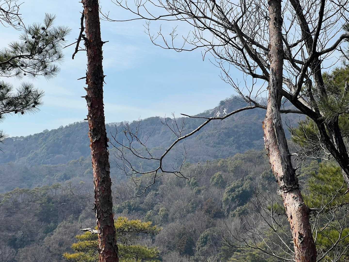 遠くに見える、小大
