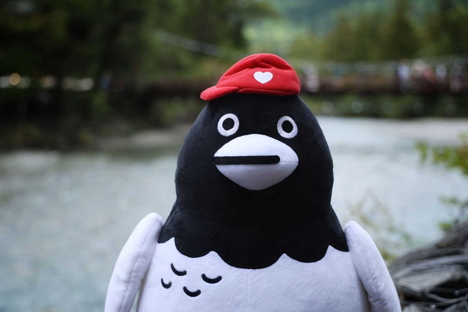 5月16日（土）・17日（日）限定｜名古 / YAMAPアウトドア保険さんの