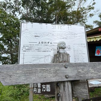 なぜこの配置なのだ…。ダムの説明が読めない（こういうの読みたい人）。ここから先は下降の身体運用を試しつつ一気に降りていきました。