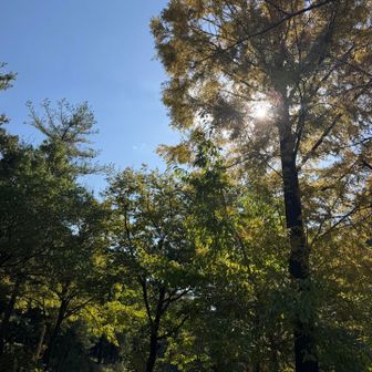 今日は、天気良さそう☀️
