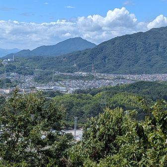 下山はひたすら、黙々、休憩ナシ。
ここまで来たら、ゴールはすぐそこ。