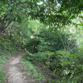 六甲の稜線へ向けて、癒しの路を歩く