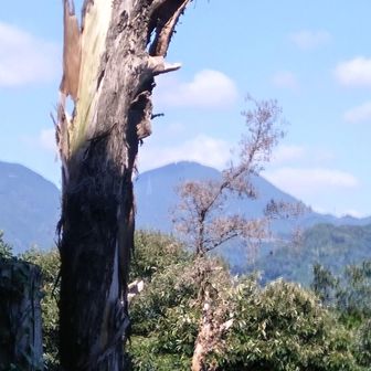 🏞️竜爪山