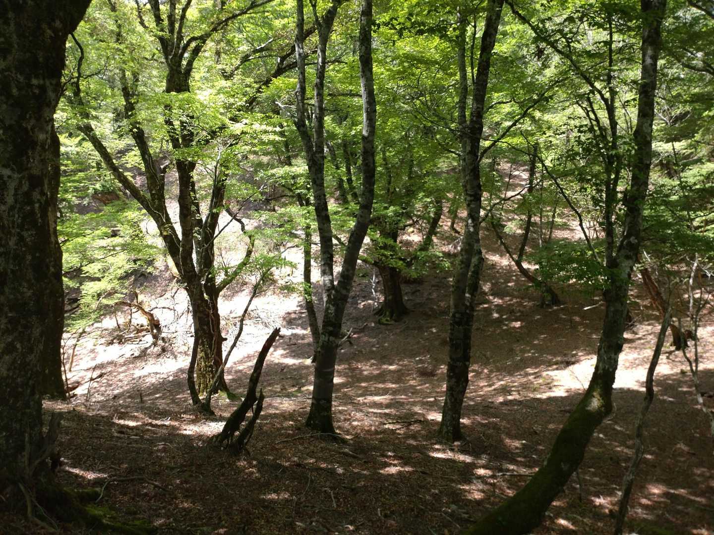 大好きな場所
本当に美しい。