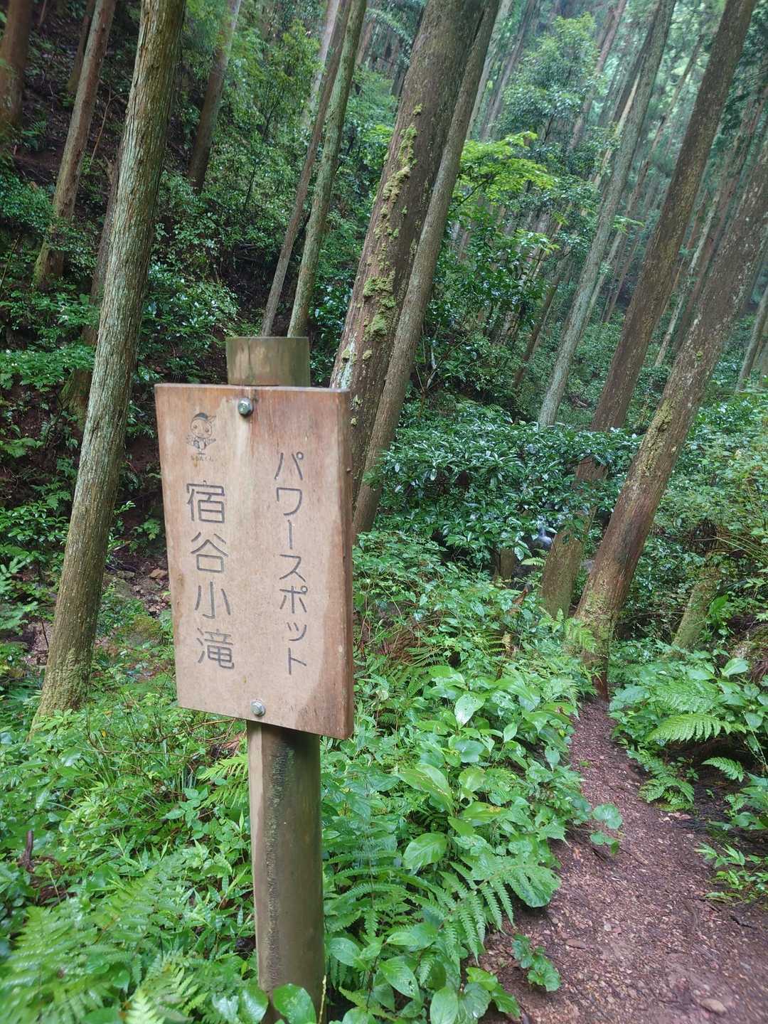 日和田山登山口-金刀比羅神社-日和田山-物見山 往復コースの写真