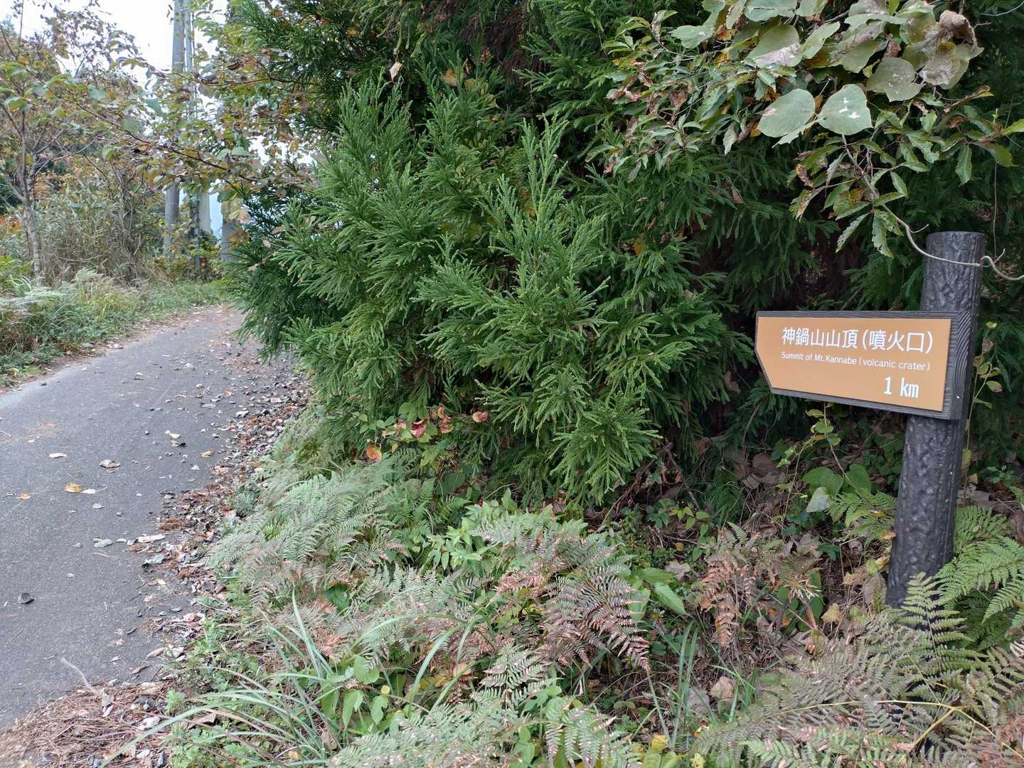 登る人はおらず🤭