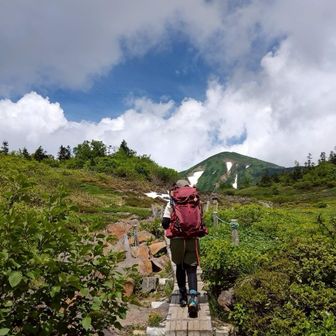 まいまい ◡̈ *