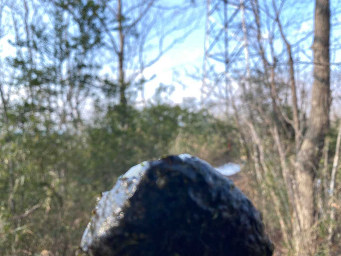 頂上付近で🍙