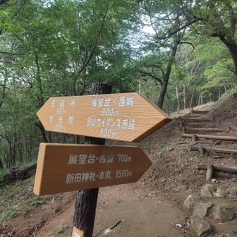 右の階段を登る
