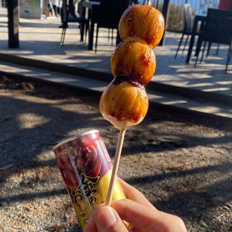 お団子たべた😋