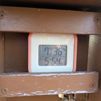 ハムは鍋割🐹  7℃  湿度36％
今日はキツかったー🤣…その日によって体の重さが全然違うなと思い知らされる温度🌡️
…いや、温度のせいではないw