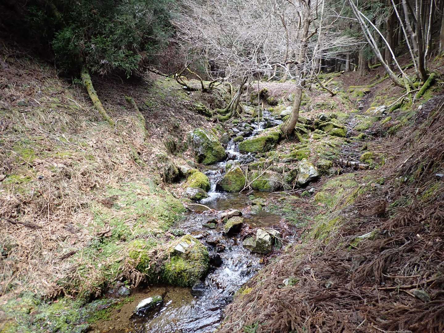 往復ともに、沢は歩きやすく、水辺歩きは楽しいなぁ