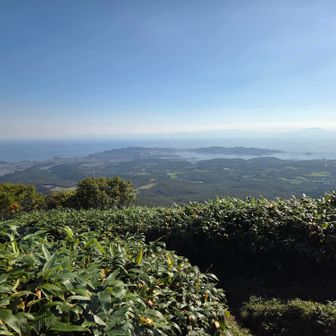 室蘭市内、下山です