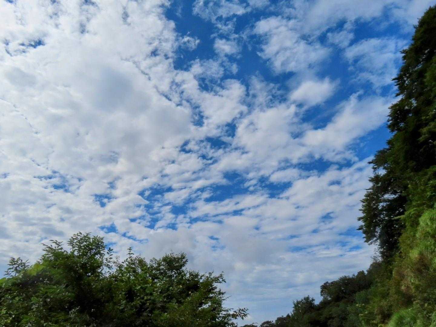 前山-白兀山-蛇尾山-夕霧峠 周回コースの写真
