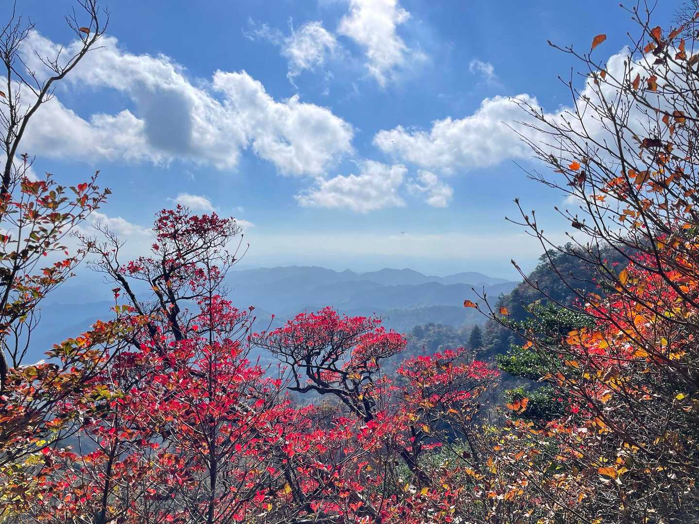 豊前坊登山口-英彦山-英彦山 往復コースの写真