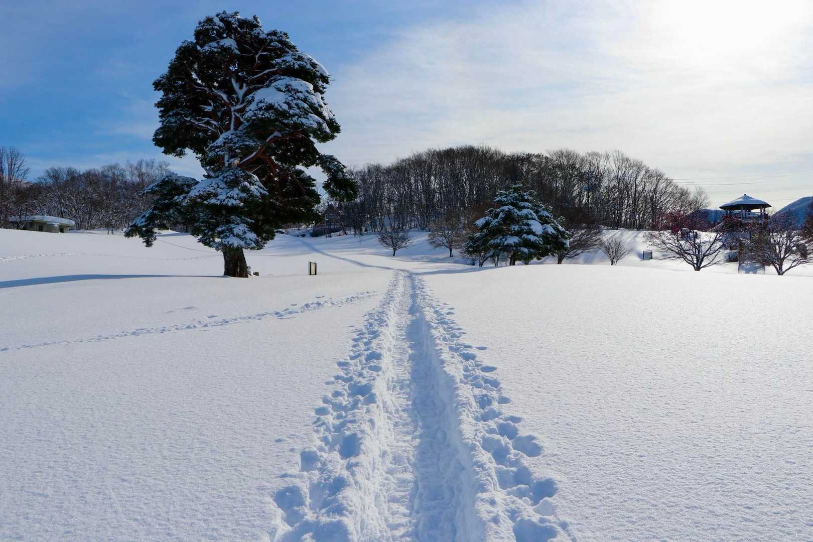 もうすぐキャンプ場