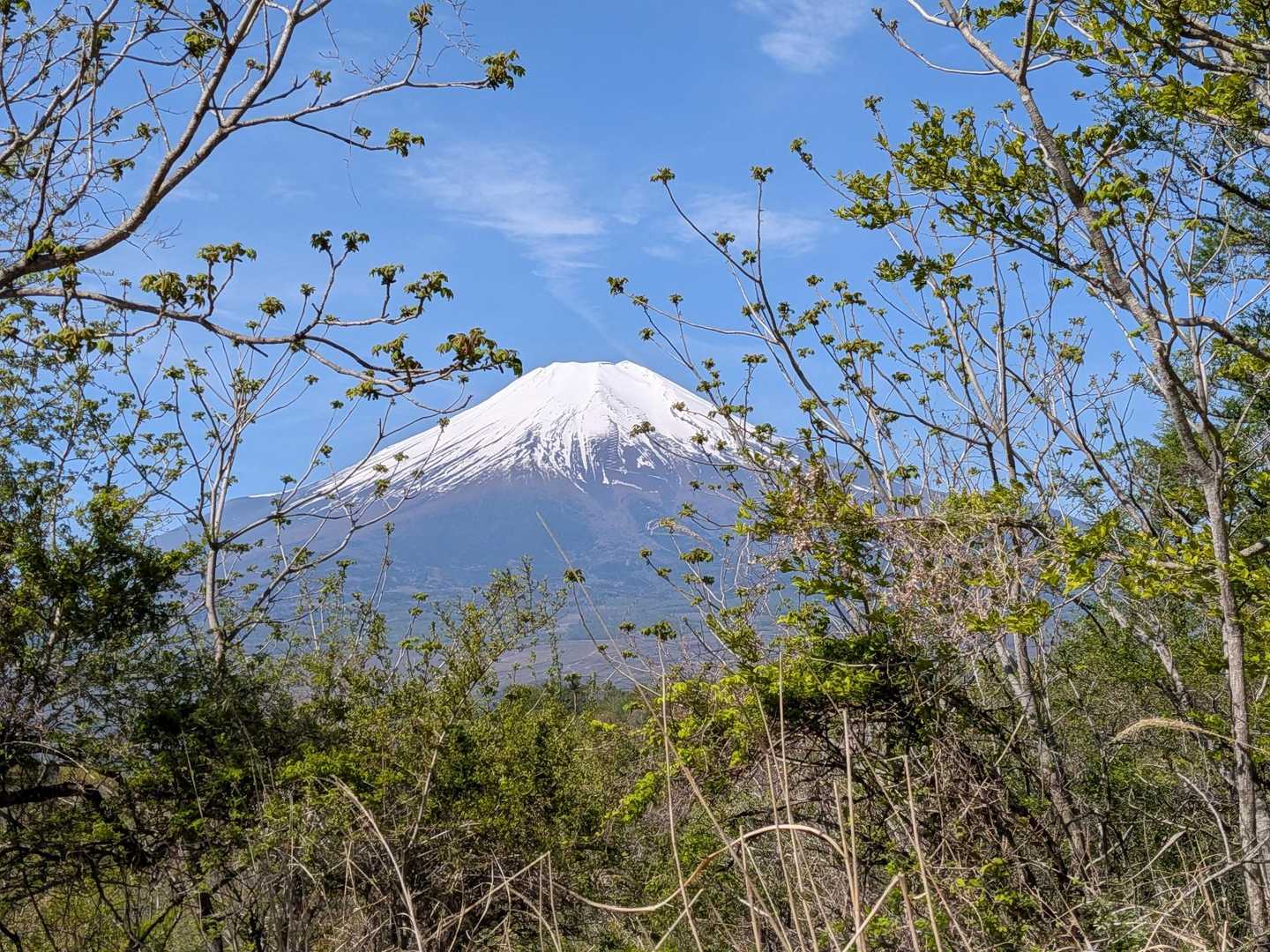 長池親水公園前バス停-大平山ハイキングコース入口-大平山- 周回コースの写真
