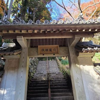 凛とした空気感の山門
神犬の八房が伏姫を背中に乗せ登ったという階段
