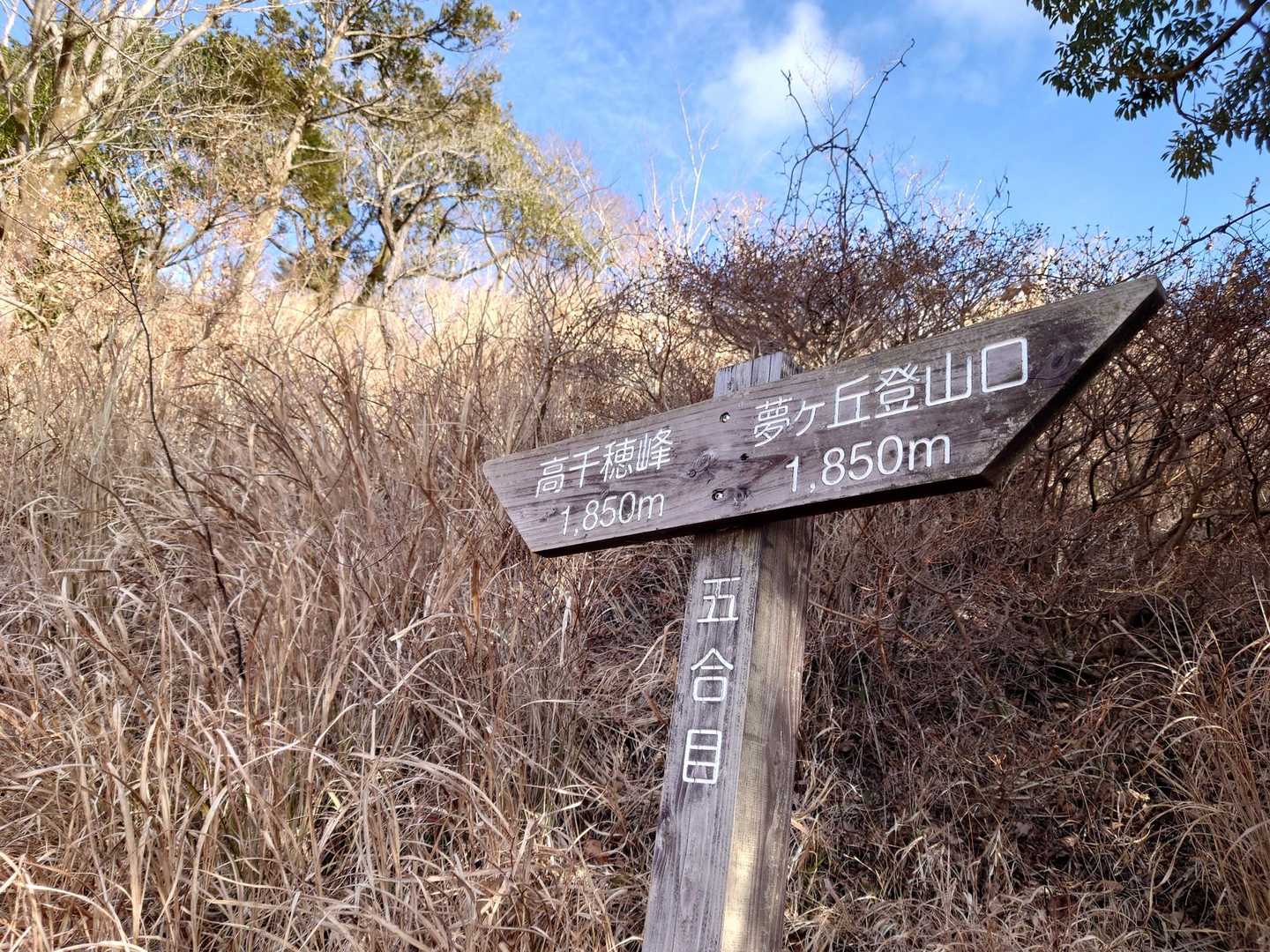 五合目です😊
ここからは登山道が狭くなりちょっと歩きにくいですが、明るくて景色も見えるで頑張れる！