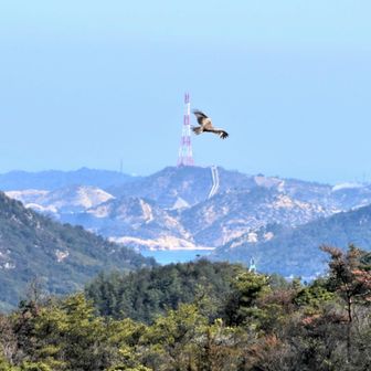 　　　　　　直島
　　臥竜山　　　　　神登山