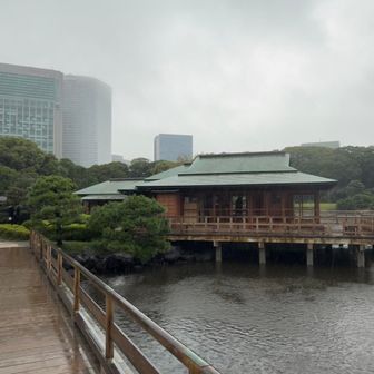 浜離宮恩賜庭園view
