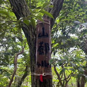 味のあるピークマークも…
竹細工のピーク