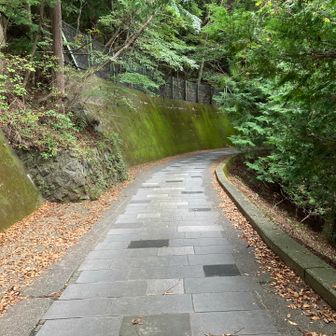 少し遠回りで🅿️へと向かいます。
車が通過するので気をつけます。