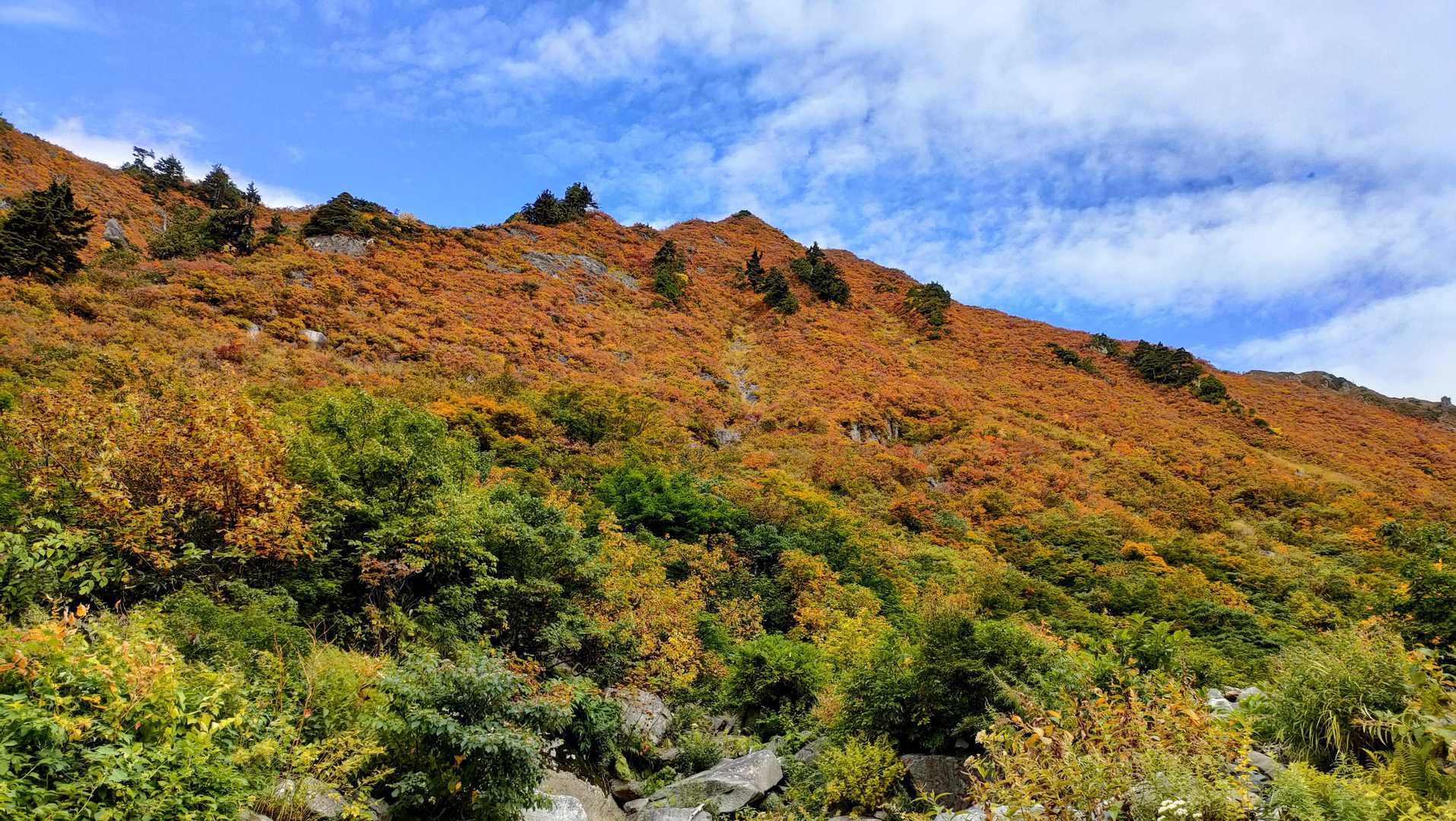 巻機山登山口-割引岳-巻機山-前巻機 周回コースの写真
