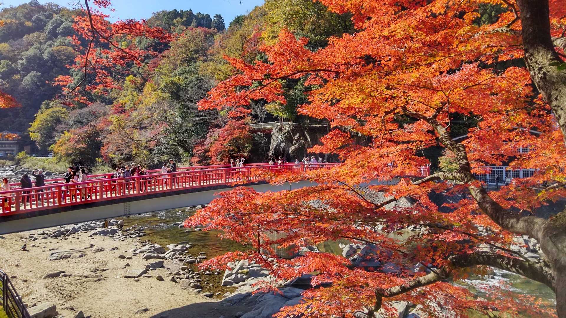 香積寺-飯盛山-飯盛山登山口 周回コースの写真