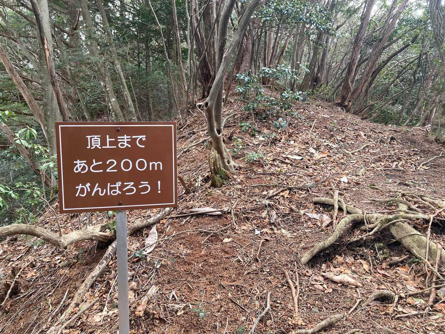こういう標識見るとがんばれるよね😊
