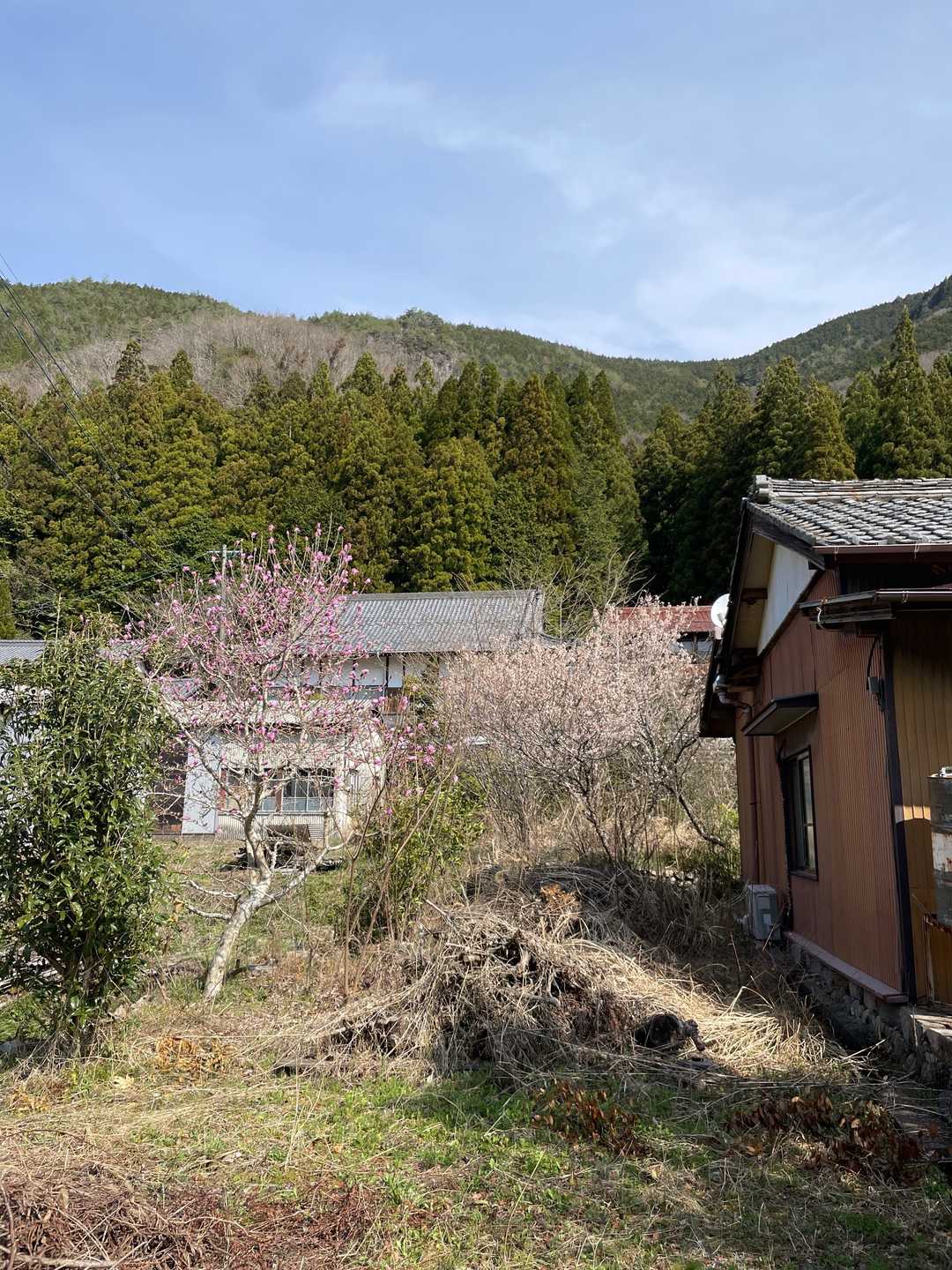 面平山 往復コースの写真