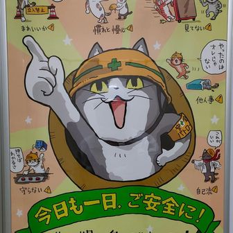まーぼー