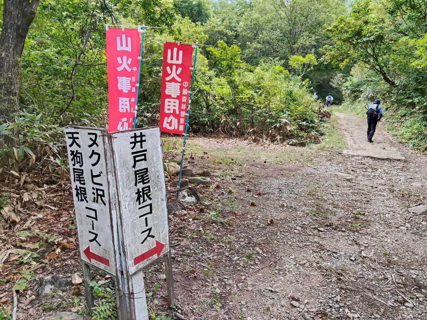 井戸尾根コースを進みます
ヌクビ沢コースは上級者向けで下山での利用は禁止
事故の多いコースのようで今日も防災ヘリが飛んでいました