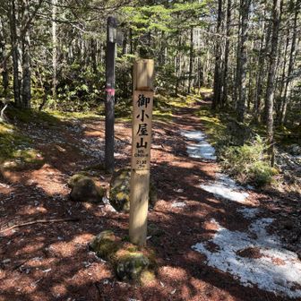 御小屋山から舟山十字路へは雪なし。