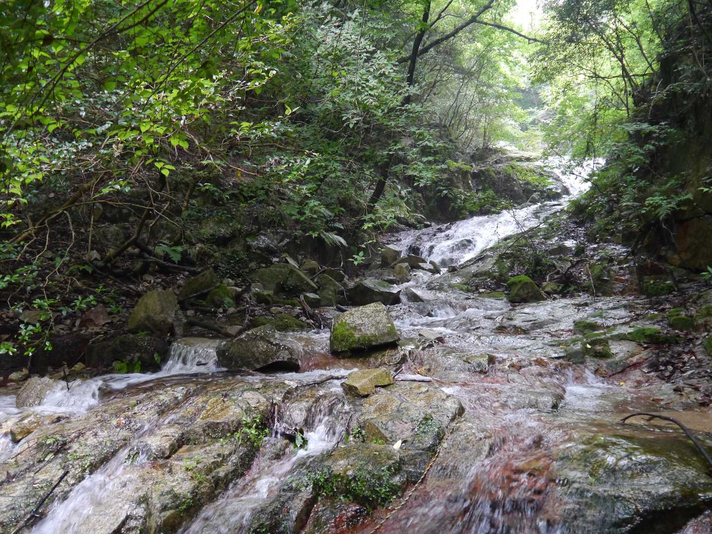 水多い💦