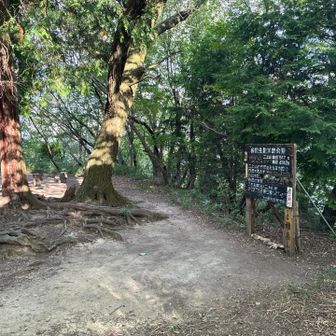 雄岳山頂
いつもと別角度で