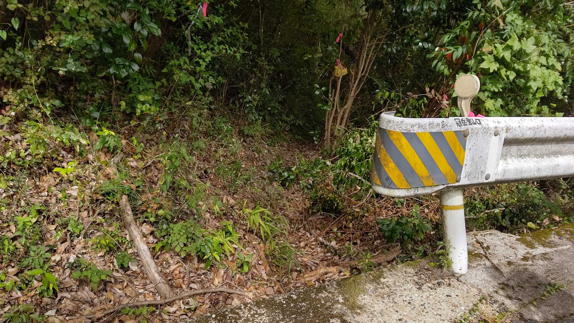 冠岳 往復コースの写真