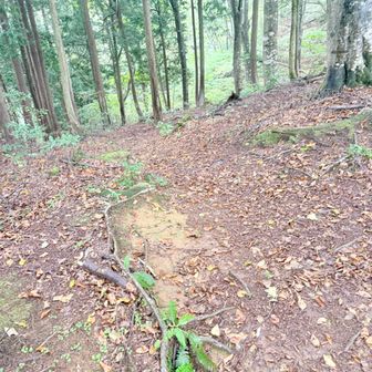 市橋登山口に向かって下りはじめる。往路で通らなかった道だ。