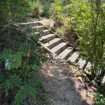 世田山方面と笠松山方面への分岐。いつもは世田山に行くのですが暑すぎて今日は笠松山方面から帰宅予定