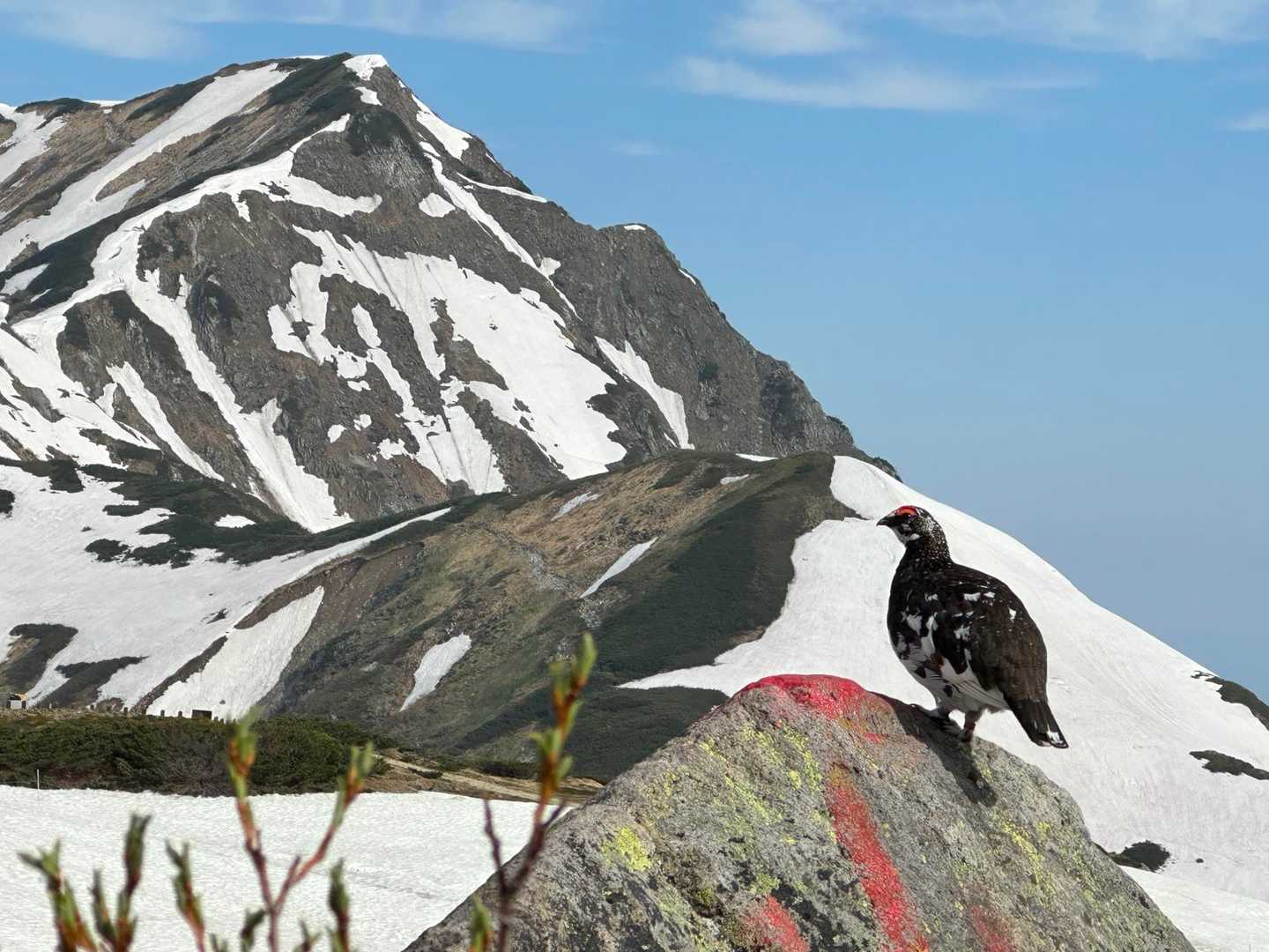 室堂登山口-一ノ越-立山 周回コースの写真