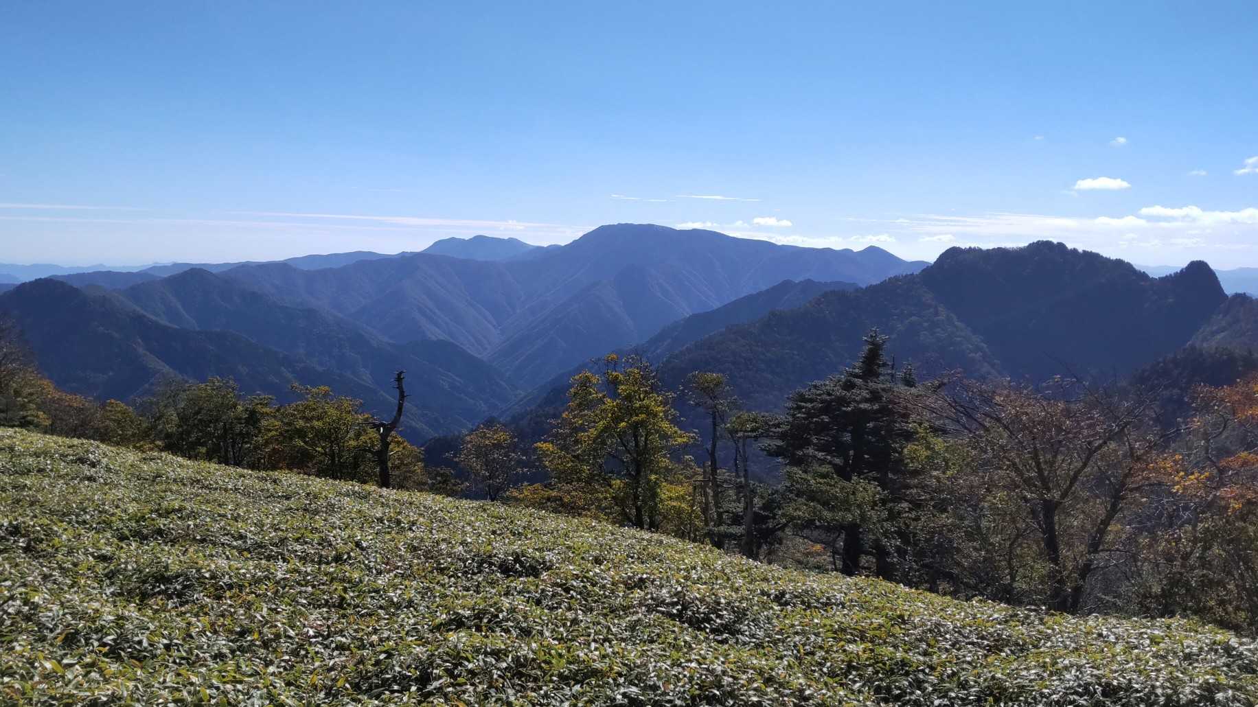 お花畑から八経ヶ岳